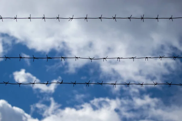 Barbed wire on the background of the cloudy sky. The concept of detention, border closure, prison or loss of freedom.