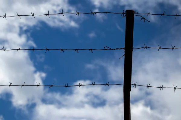 Barbed wire on the background of the cloudy sky. The concept of detention, border closure, prison or loss of freedom.