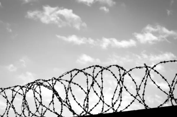 Barbed wire on the background of the cloudy sky. The concept of detention, border closure, prison or loss of freedom.