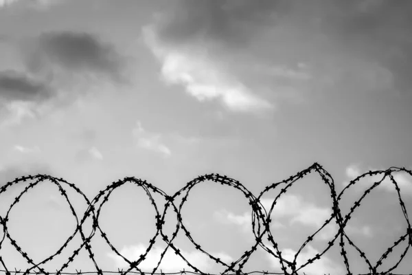 Barbed Wire Background Cloudy Sky Concept Detention Border Closure Prison — Stock Photo, Image