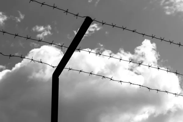 Barbed wire on the background of the cloudy sky. The concept of detention, border closure, prison or loss of freedom.