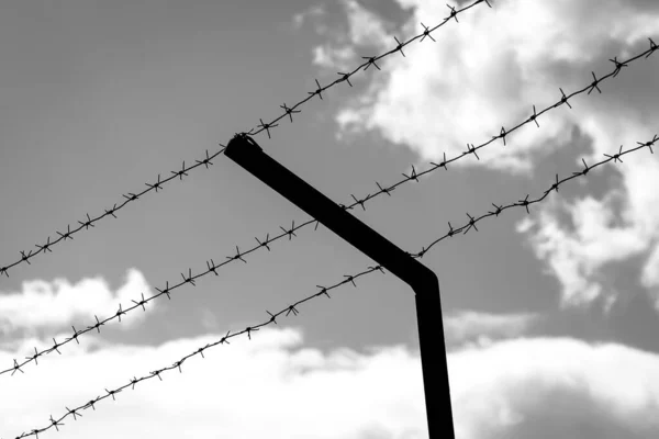 Taggtråd Bakgrunden Den Molniga Himlen Begreppet Frihetsberövande Stängning Gränser Fängelse — Stockfoto