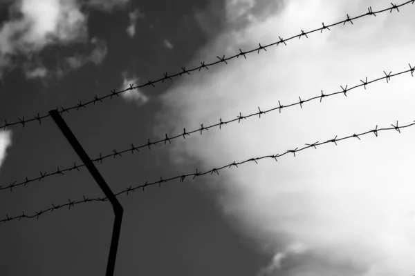 Arame Farpado Fundo Céu Nublado Conceito Detenção Encerramento Fronteiras Prisão — Fotografia de Stock