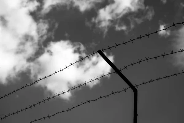 在多云的天空背景上有铁丝网 关闭边界 监禁或丧失自由的概念 — 图库照片