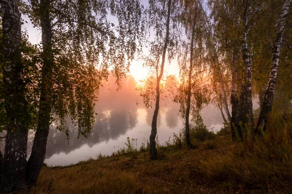 Χρυσή Ομιχλώδης Ανατολή Στη Λίμνη Πρωί Του Φθινοπώρου Δέντρα Ακτίνες — Φωτογραφία Αρχείου