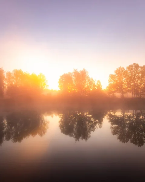 Goldener Nebliger Sonnenaufgang Auf Dem Teich Herbstmorgen Bäume Mit Sonnenstrahlen — Stockfoto