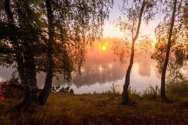 Goldener Nebliger Sonnenaufgang Auf Dem Teich Herbstmorgen Bäume Mit Sonnenstrahlen — Stockfoto