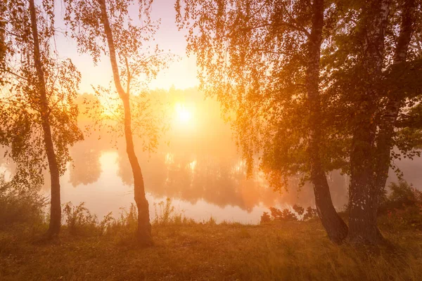 Nascer Sol Enevoado Dourado Lago Manhã Outono Árvores Com Raios — Fotografia de Stock