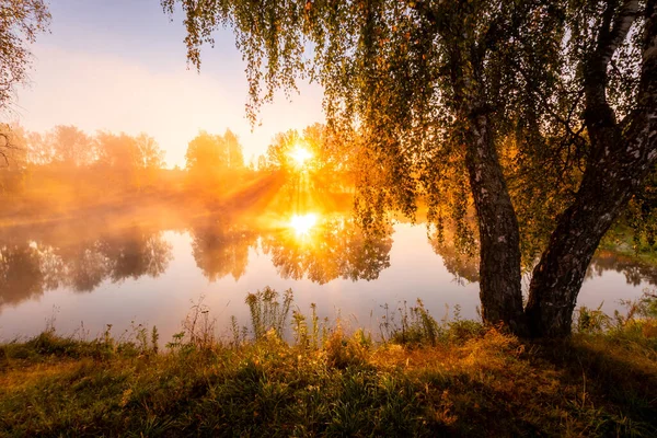Golden Misty Sunrise Pond Autumn Morning Trees Rays Sun Cutting — Stock Photo, Image