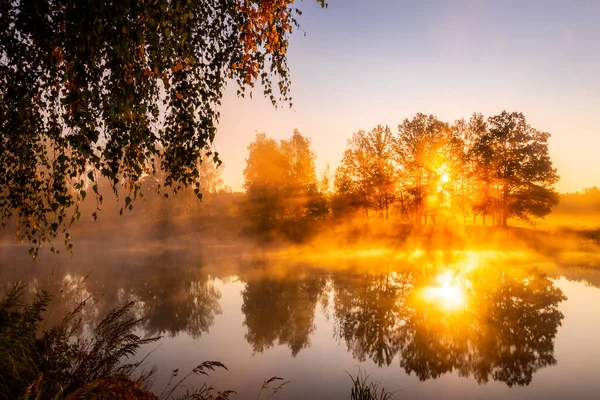 Goldener Nebliger Sonnenaufgang Auf Dem Teich Herbstmorgen Bäume Mit Sonnenstrahlen — Stockfoto