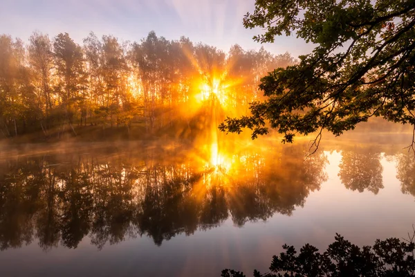 Golden Misty Sunrise Pond Autumn Morning Trees Rays Sun Cutting — Stock Photo, Image