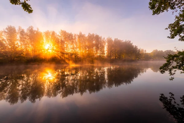 Goldener Nebliger Sonnenaufgang Auf Dem Teich Herbstmorgen Bäume Mit Sonnenstrahlen — Stockfoto