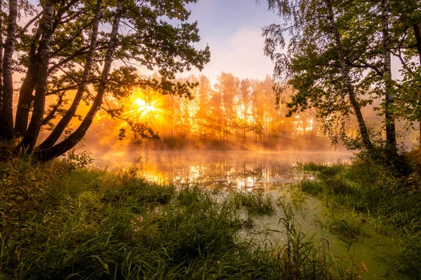 Gyllene Dimmig Soluppgång Dammen Höstmorgonen Träd Med Solens Strålar Som — Stockfoto