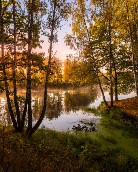 Gyllene Dimmig Soluppgång Dammen Höstmorgonen Träd Med Solens Strålar Som — Stockfoto