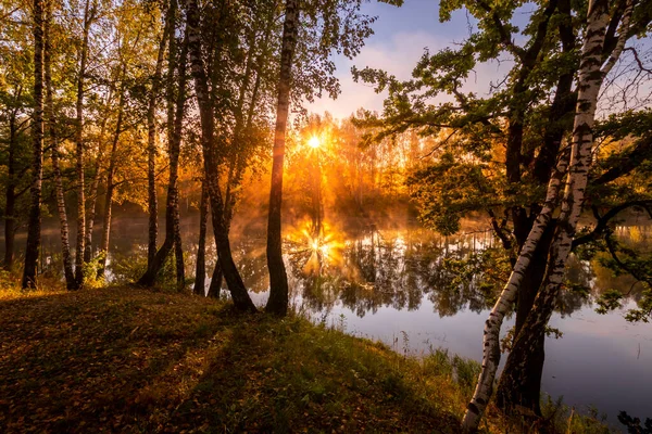Zlatý Mlhavý Východ Slunce Nad Rybníkem Podzimním Ránu Stromy Paprsky — Stock fotografie