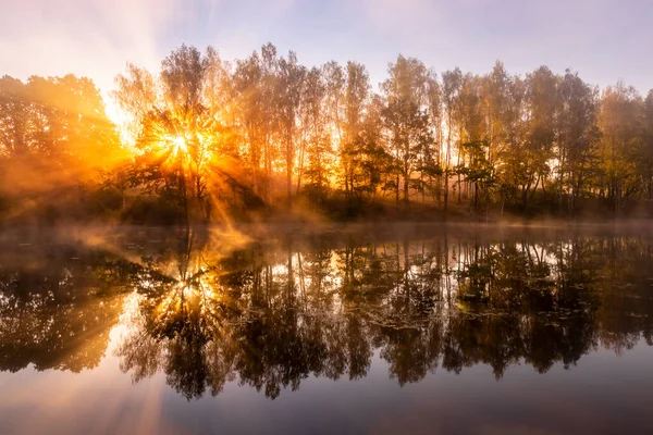 Lever Soleil Doré Brumeux Sur Étang Matin Automne Arbres Avec — Photo