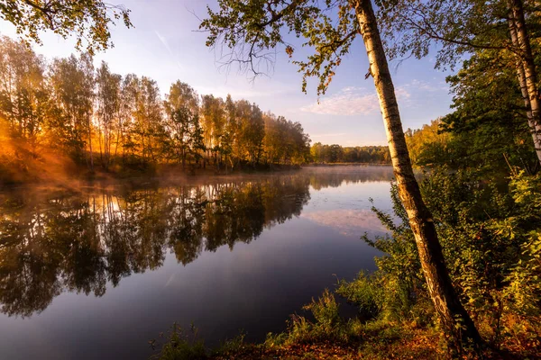 Amanecer Brumoso Dorado Estanque Mañana Otoño Árboles Con Rayos Del — Foto de Stock