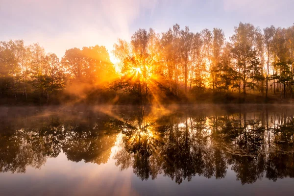 Goldener Nebliger Sonnenaufgang Auf Dem Teich Herbstmorgen Bäume Mit Sonnenstrahlen — Stockfoto