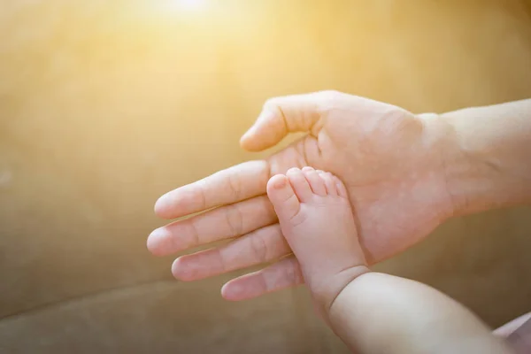 Pies Bebé Manos Madre — Foto de Stock