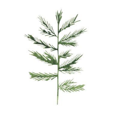 Noel ağacının suluboya çizimi. Şenlik teması. Yeni yıl, kış. Ladin, odun, çam. Hatıra defteri, dekorasyon, baskı, kartpostallar için..