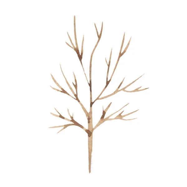 Desenho Uma Árvore Nua Aquarela Sem Folhas Folhas Caindo Inverno — Fotografia de Stock