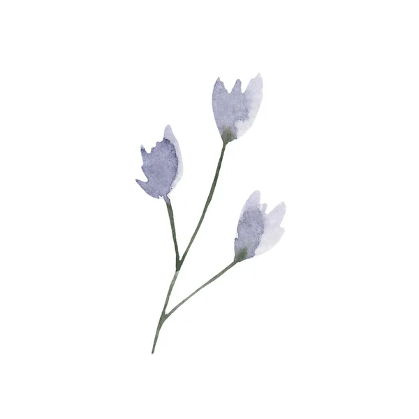 Beyaz Arka Planda Pastel Renklerde Suluboya Bir Çiçek Doğa Faktörü — Stok fotoğraf