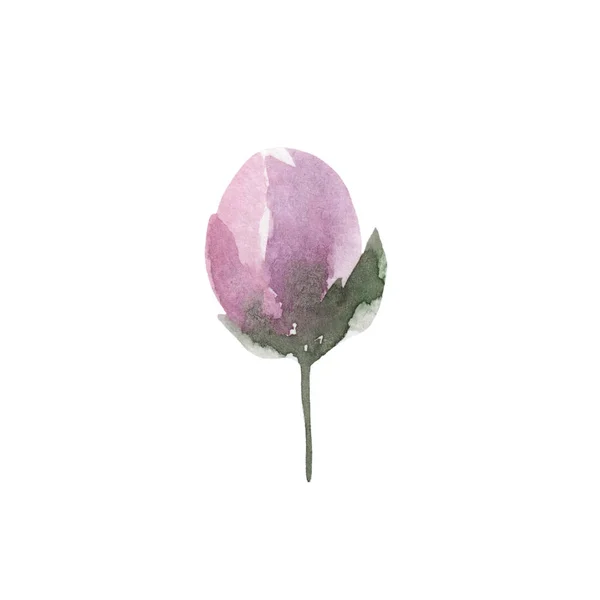 Desenho Aquarela Botão Flor Isolado Fundo Branco Ternura Romance Cores — Fotografia de Stock