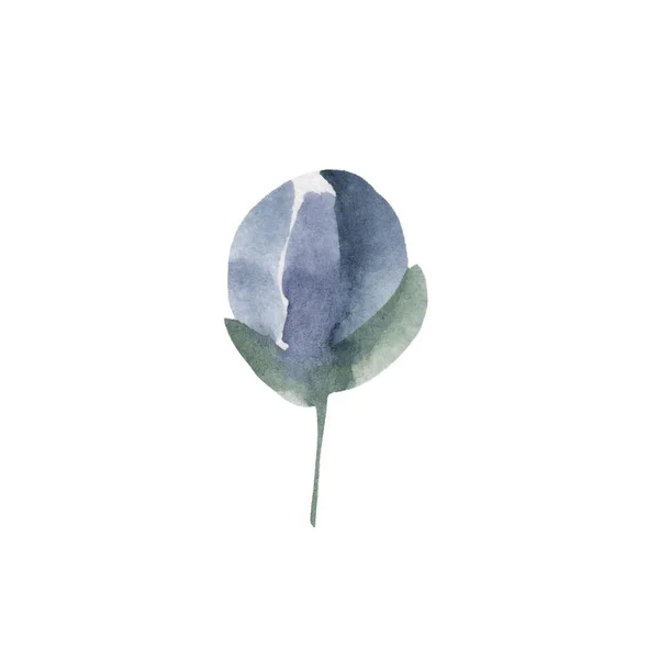 Desenho Aquarela Botão Flor Isolado Fundo Branco Ternura Romance Cores — Fotografia de Stock