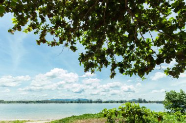 Güzel manzara peyzaj tropikal deniz ve yaprak çerçeve phuket Tayland