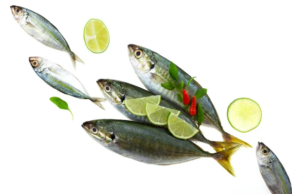 Fresh Fish Lemon Leaf Isolated White Background Concept Cooking Background — Stock Photo, Image