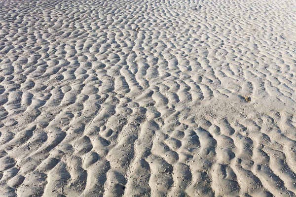 Высокое Качество Изображения Фоне Песка Натурального Фона Летнего Дизайна — стоковое фото