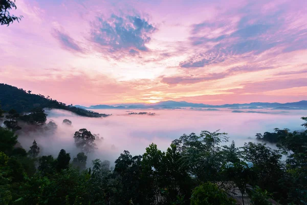 Beau Lever Coucher Soleil Avec Brouillard Coulant Dans Montagne Belle — Photo