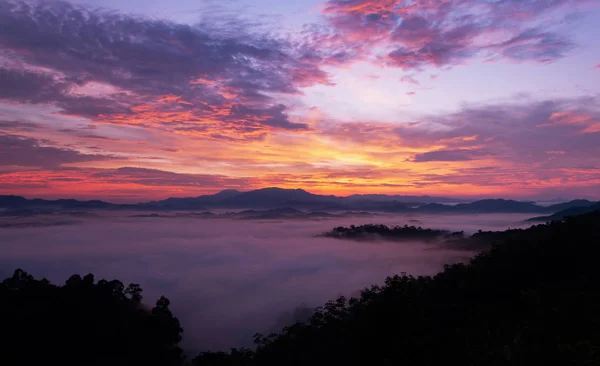 美丽的日出或日落与雾流动在山美丽的风景风景在泰国 — 图库照片