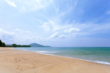 sahne tropikal deniz kompozisyonlar için arka plan ve yaz tasarım güzel doğa