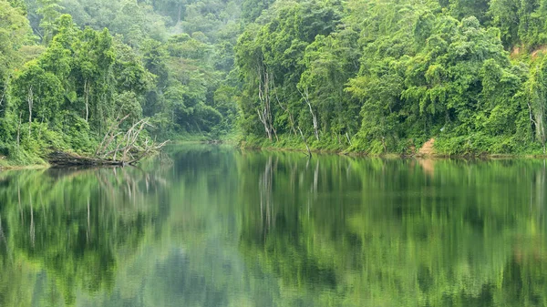 Tropisch Regenwoud Met Reflex Het Water Mooi Landschap Natuur Achtergrond — Stockfoto