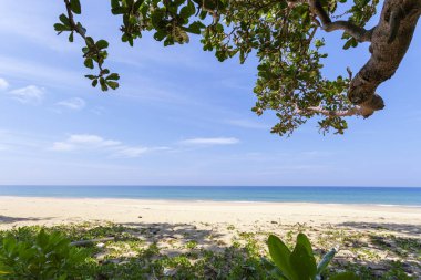 Güzel manzara peyzaj tropikal deniz ve yaprak çerçeve phuket Tayland.