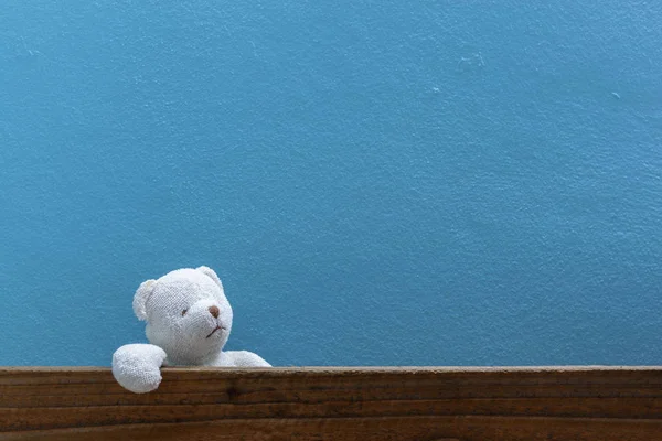 Teddy bear on old wood in front blue wall background.