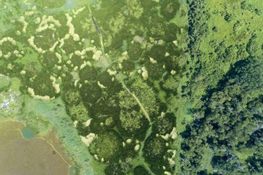 Havadan görünümü dron vurdu Top yeşil orman ve göl güzel vahşi doğa manzara arka plan için.