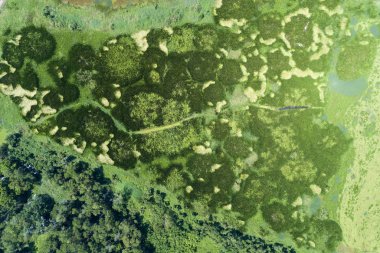 Havadan görünümü dron vurdu Top yeşil orman ve göl güzel vahşi doğa manzara arka plan için.