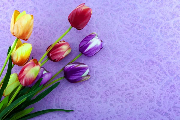 Lentebloemen Van Bloemen Van Tulpen Kleurrijke Achtergrond — Stockfoto