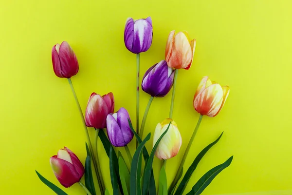 Lentebloemen Van Bloemen Van Tulpen Kleurrijke Achtergrond — Stockfoto