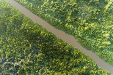 Havadan görünüm drone vurdu yeşil orman ve gölün tepesinde 