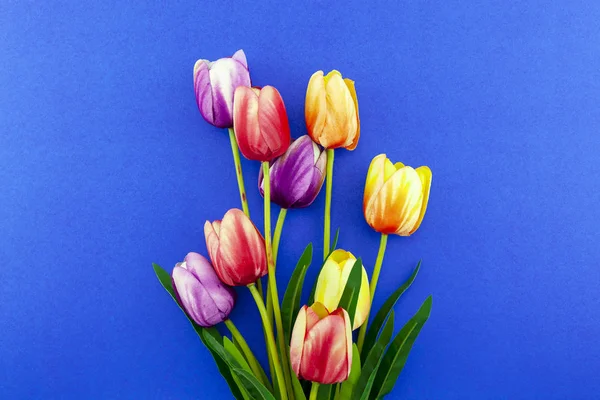 Spring flowers of Tulips flowers on blue background — Stock Photo, Image