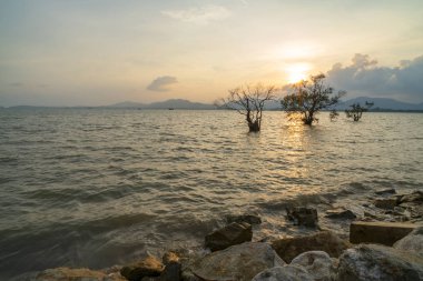 Dramatik gökyüzü günbatımı manzara arka planda rock ile deniz manzarası