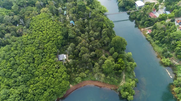 Drone bird's eye view of landscape beautiful rainforest — Stock Photo, Image