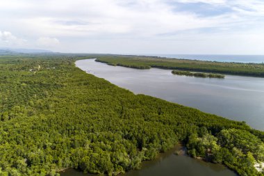 Güzel doğal manzara nehir havadan görünümü drone çekim 