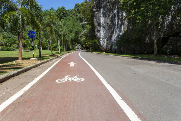 Bicycle lane sign on road in the park