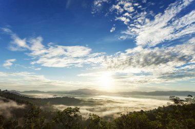 Sabah güneşin ışığında güzel sahne 