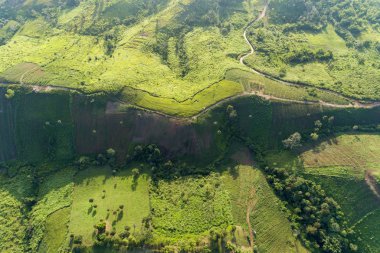Doğanın havadan aşağı dağ dokusu orman manzarası 