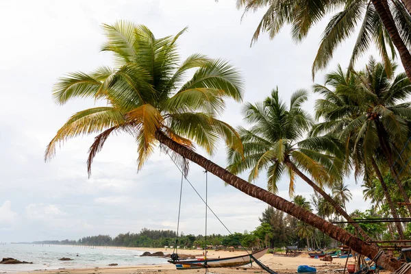 Vacanza Estiva Concetto Sfondo Vacanza Palma Cocco Sulla Spiaggia Tropicale — Foto Stock